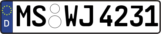 MS-WJ4231