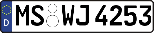 MS-WJ4253