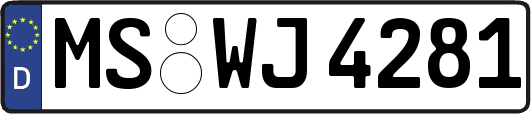 MS-WJ4281