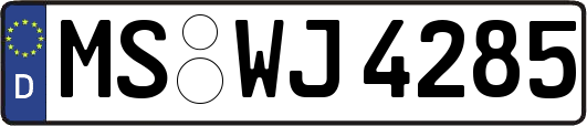 MS-WJ4285