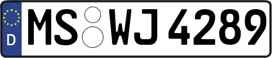 MS-WJ4289