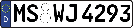 MS-WJ4293