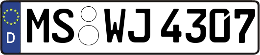 MS-WJ4307