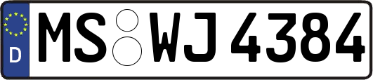 MS-WJ4384