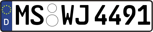 MS-WJ4491