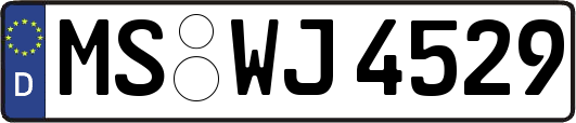 MS-WJ4529