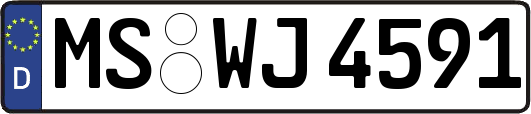 MS-WJ4591