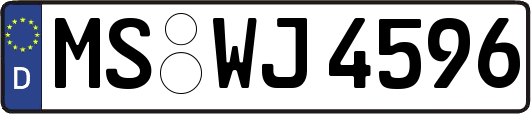 MS-WJ4596