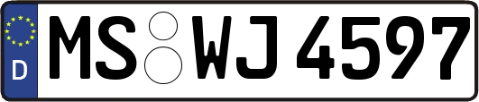 MS-WJ4597