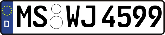 MS-WJ4599