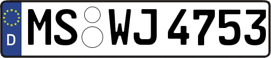 MS-WJ4753