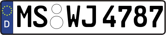 MS-WJ4787