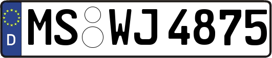 MS-WJ4875