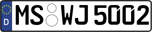 MS-WJ5002