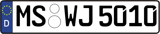 MS-WJ5010