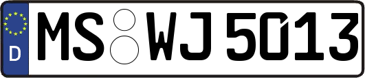 MS-WJ5013