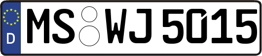 MS-WJ5015