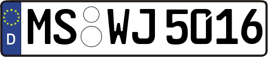 MS-WJ5016