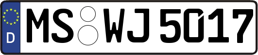 MS-WJ5017