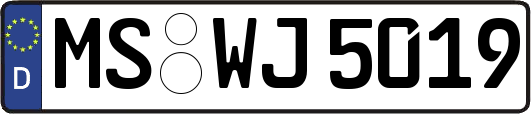 MS-WJ5019
