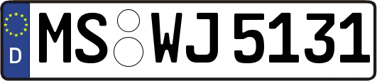 MS-WJ5131