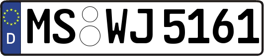 MS-WJ5161