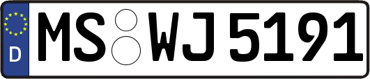 MS-WJ5191
