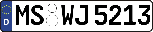 MS-WJ5213