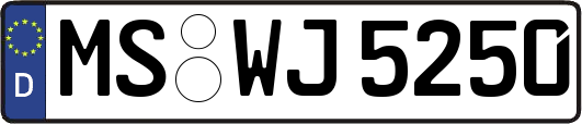 MS-WJ5250
