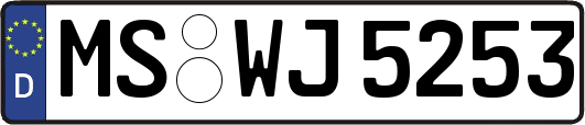 MS-WJ5253