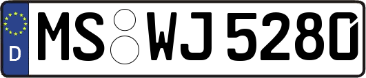 MS-WJ5280