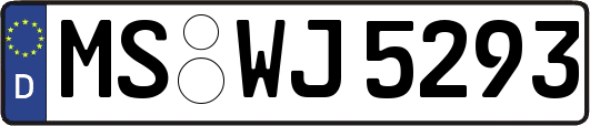 MS-WJ5293