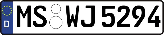 MS-WJ5294