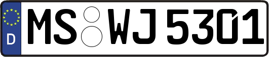 MS-WJ5301