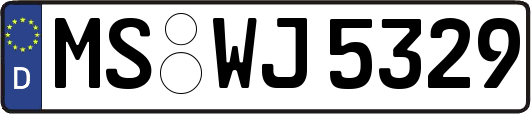 MS-WJ5329
