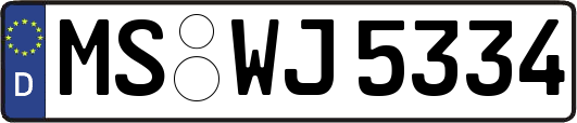 MS-WJ5334