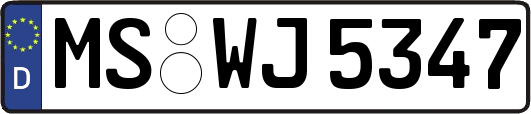 MS-WJ5347