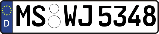 MS-WJ5348