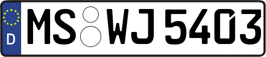 MS-WJ5403