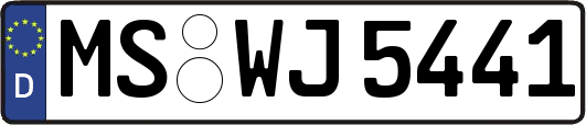 MS-WJ5441