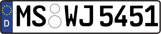 MS-WJ5451
