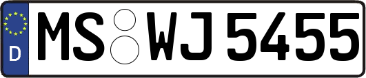 MS-WJ5455