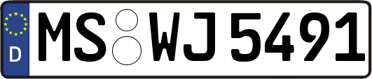 MS-WJ5491