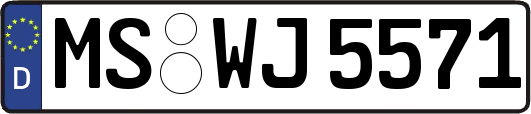 MS-WJ5571
