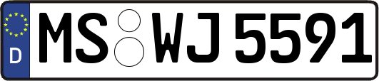 MS-WJ5591