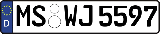 MS-WJ5597