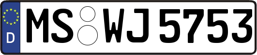 MS-WJ5753