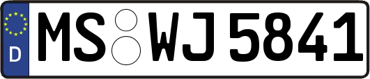 MS-WJ5841