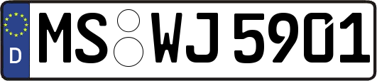 MS-WJ5901