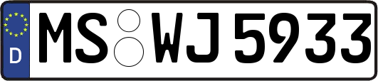MS-WJ5933